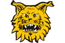 Ilves