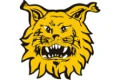 Ilves Logo